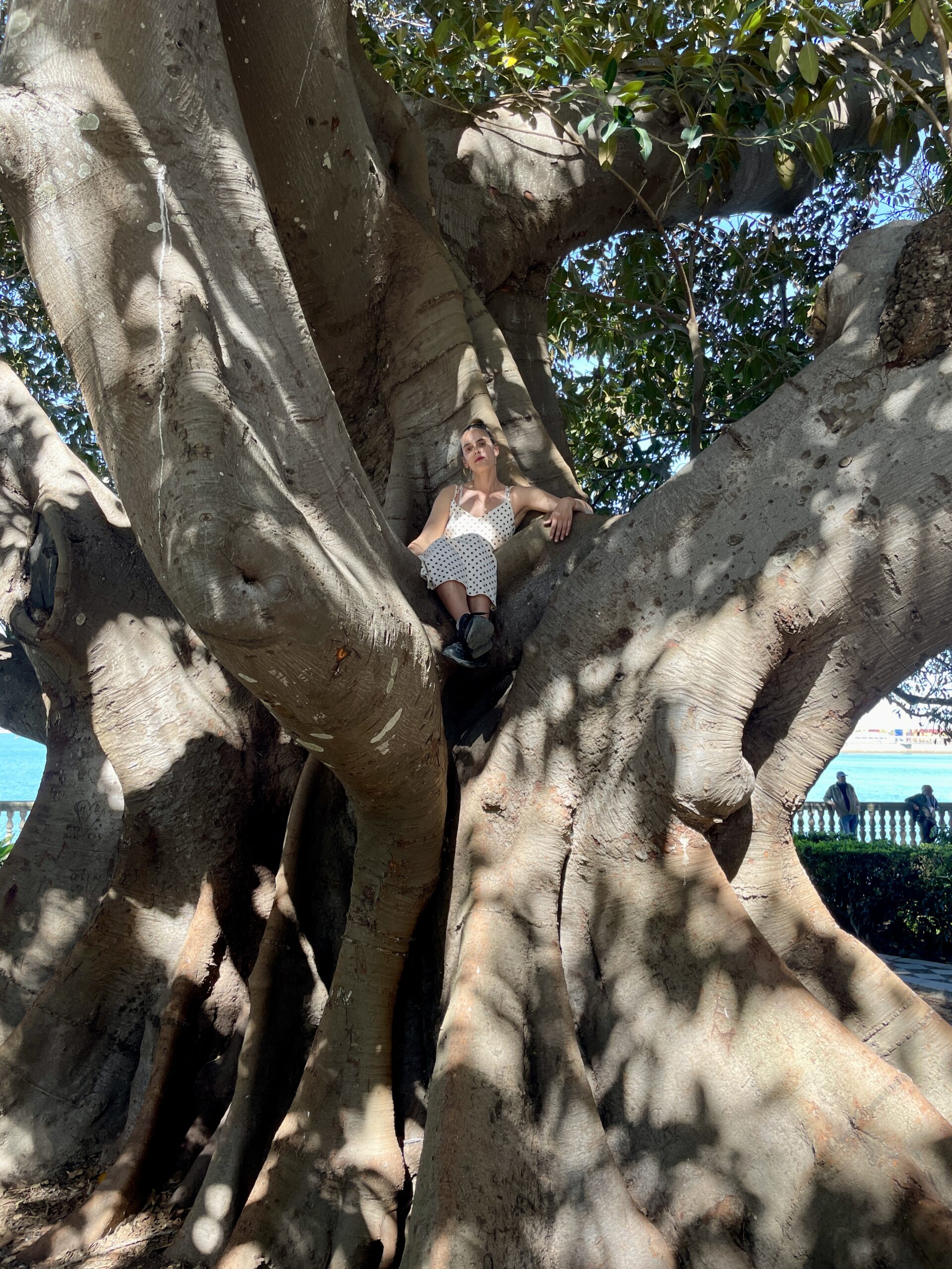 La cantante África de la Colmena subida al gomero