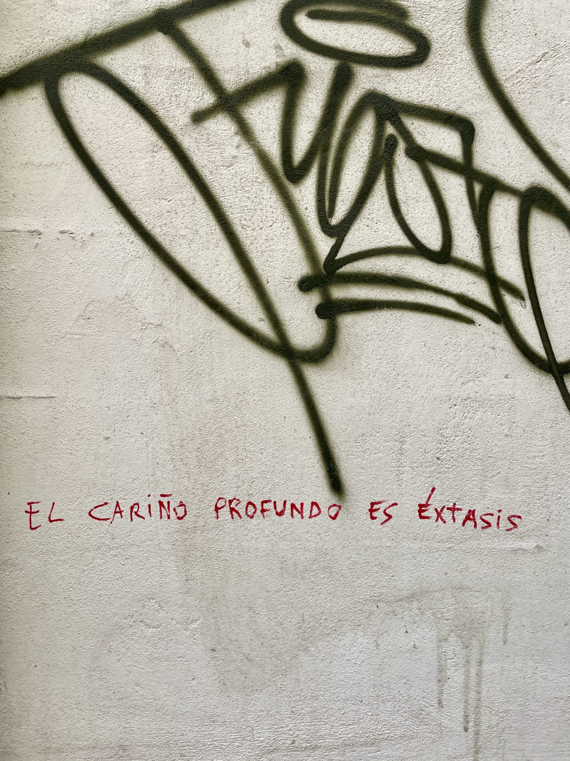 Algún aerolito grafiteado en las calles
