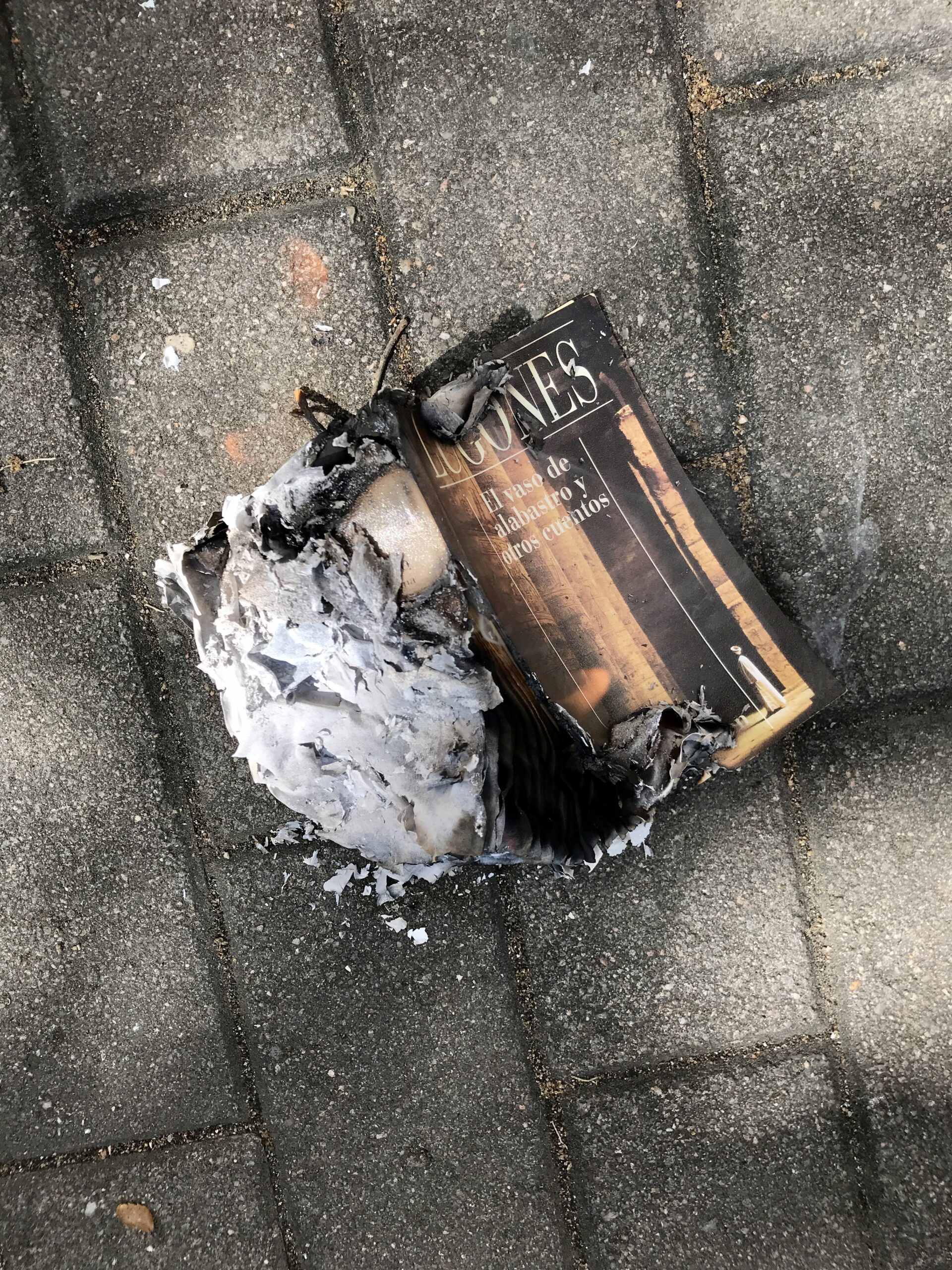 Otro libro quemado