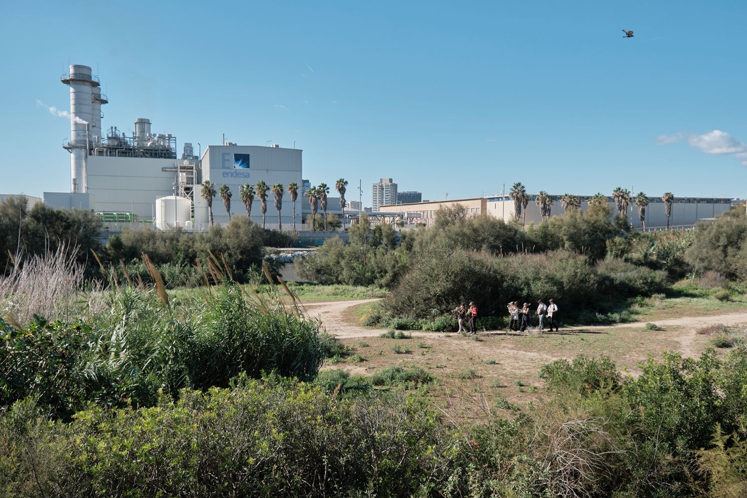 Los músicos del Besòs, en Barcelona
